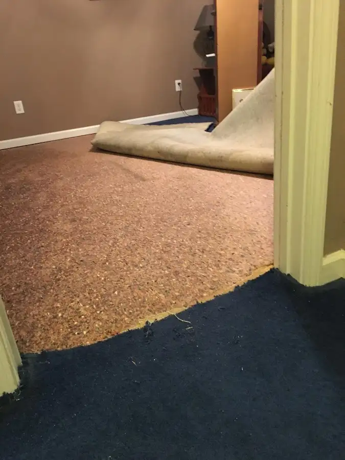 Carpet pad removal revealing water damage during Water Mitigation Services in Sabattus