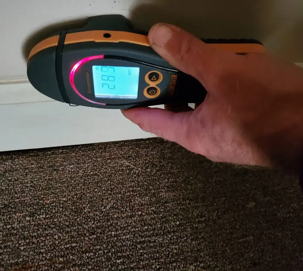 Moisture detection at baseboard during Mold Inspection & Testing in Sabattus